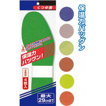 Picture of Seiwa Pro Shoe Insole 4 Pcs