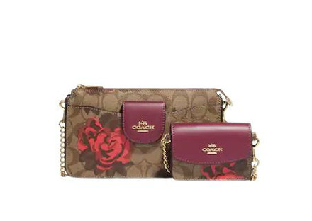 Picture of Coach Poppy Crossbody With Card Case In Signature Canvas