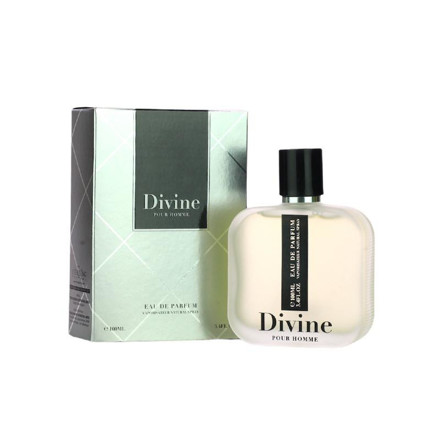Picture of Designer Collection Divine Pour Homme Edp DC46  100ml