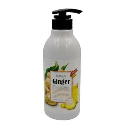 Picture of Ferveor SP Ginger Shampoo 500ml
