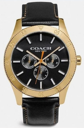 Picture of COACH Casey Watch