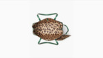 Picture of KATE SPADE All Day Lovely Leopard Pop Large Tote